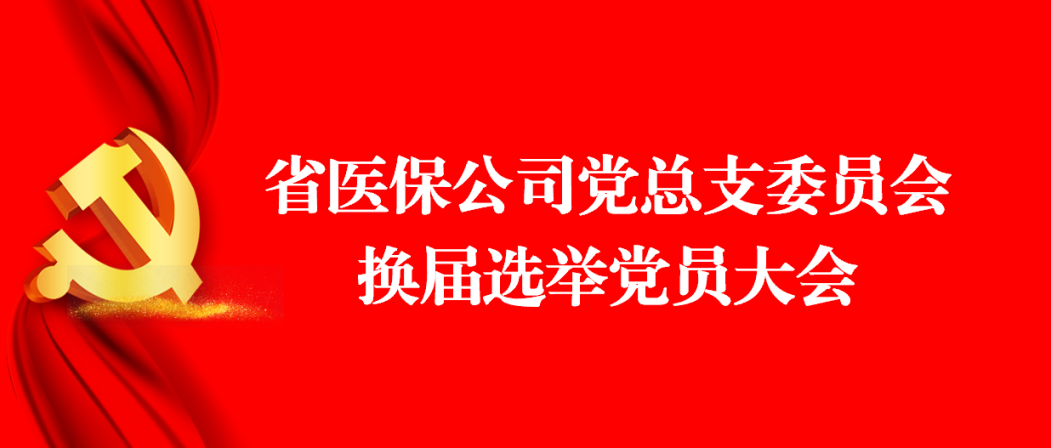 省醫保公司黨總支順利召開(kāi)換屆選舉大(dà)會